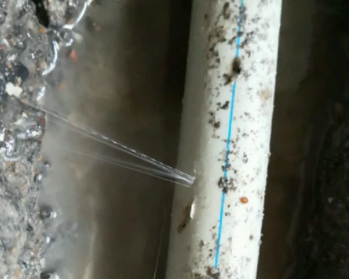 清丰卫生间测漏水多少钱